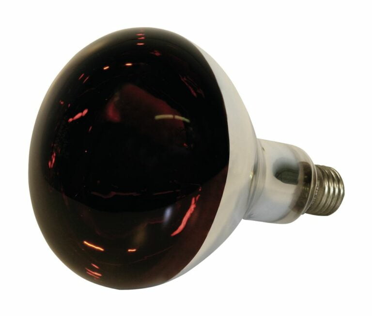 peschkes-gefluegelbedarf-Infrarotlampe 150W 2
