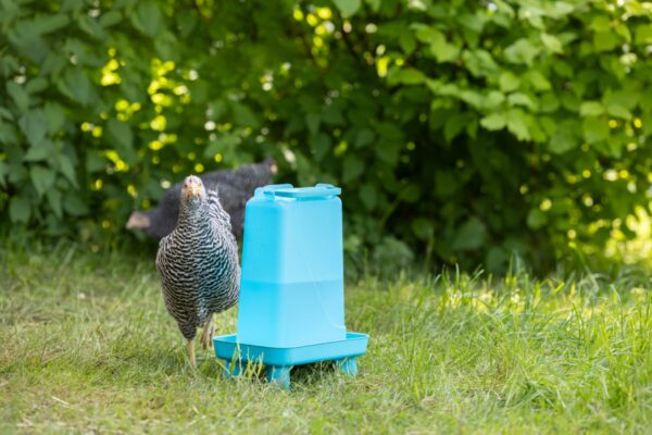 Alternative view of Kerbl Kunststofftränke mit Standfüßen 5,5L